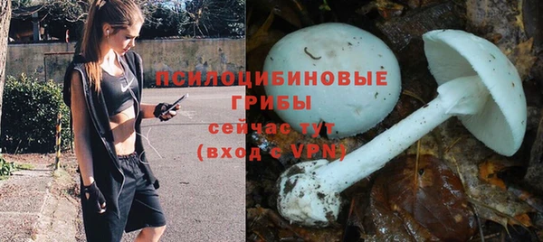 a pvp Богородицк