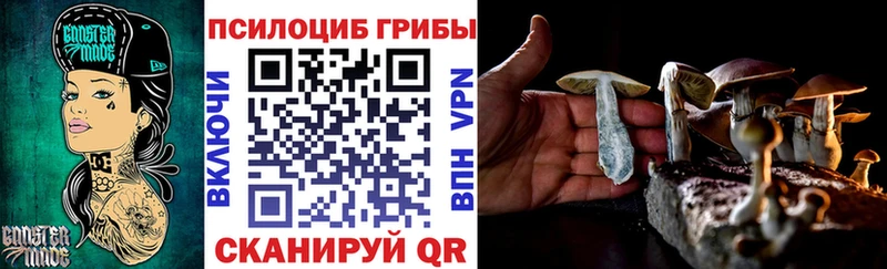 mega ССЫЛКА Верещагино Псилоцибиновые грибы Cubensis где купить